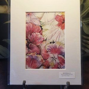 Hybrid Hibiscus - W/C Pencil Print -Matted to 8x10